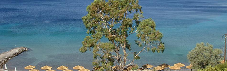 aegina_13.jpg