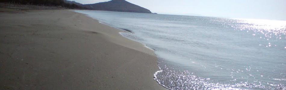 agios_fwkas.jpg