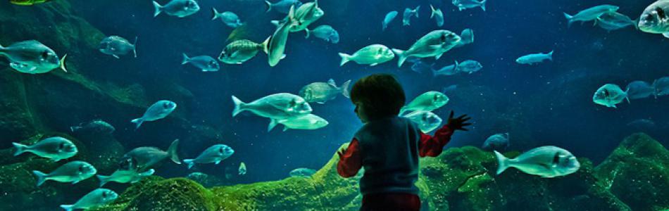 cretaquarium.jpg