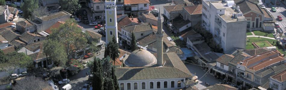 geni_tzami.jpg