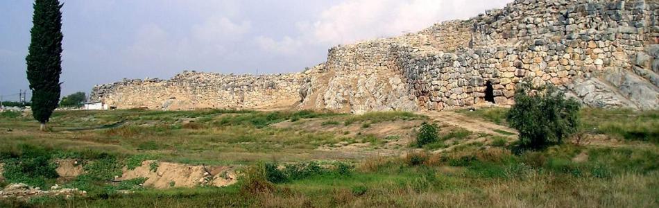tirun8a.jpg